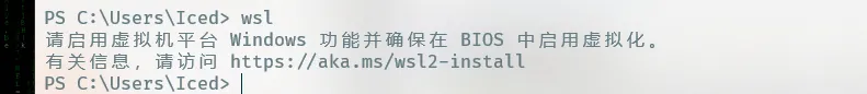 WSL2Error